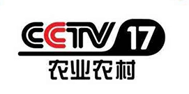 CCTV17